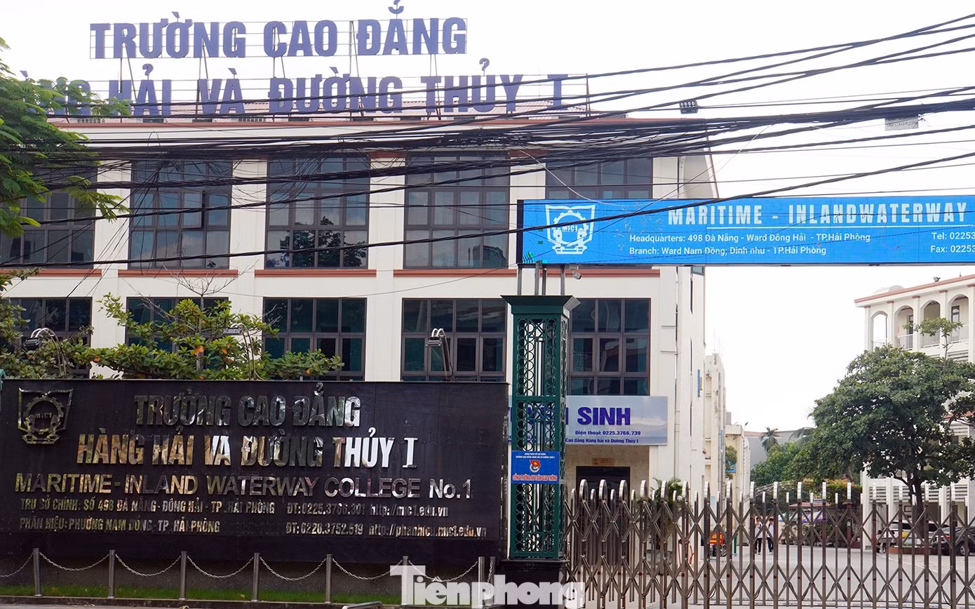 tp-cd-hang-hai2.jpg