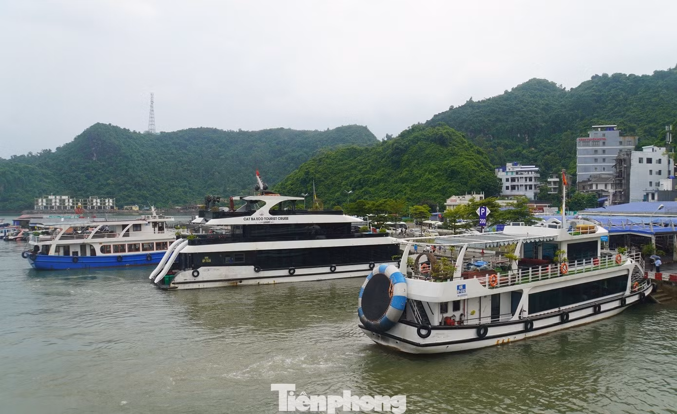 tp-cat-ba-12.jpg