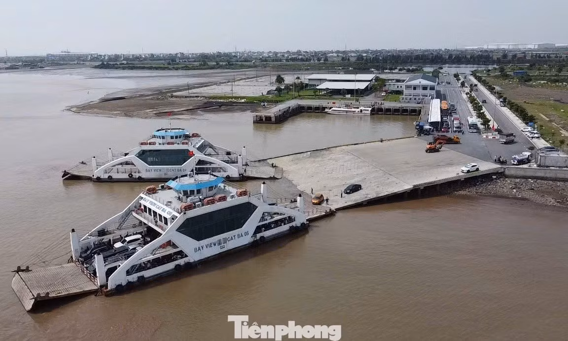 tp-pha-dong-bai-5.jpg