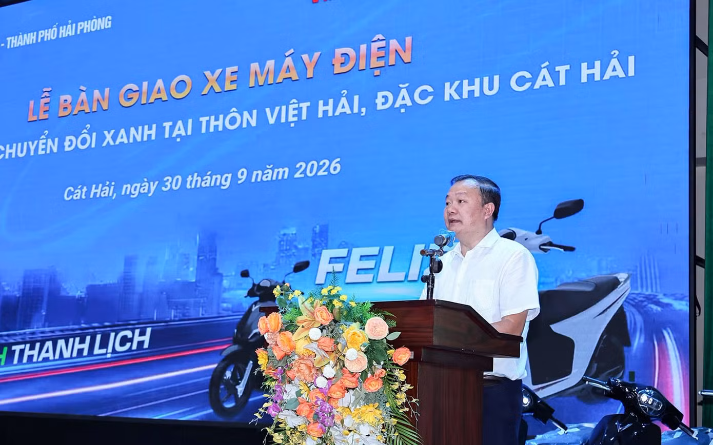 cat-ba-8643.jpg