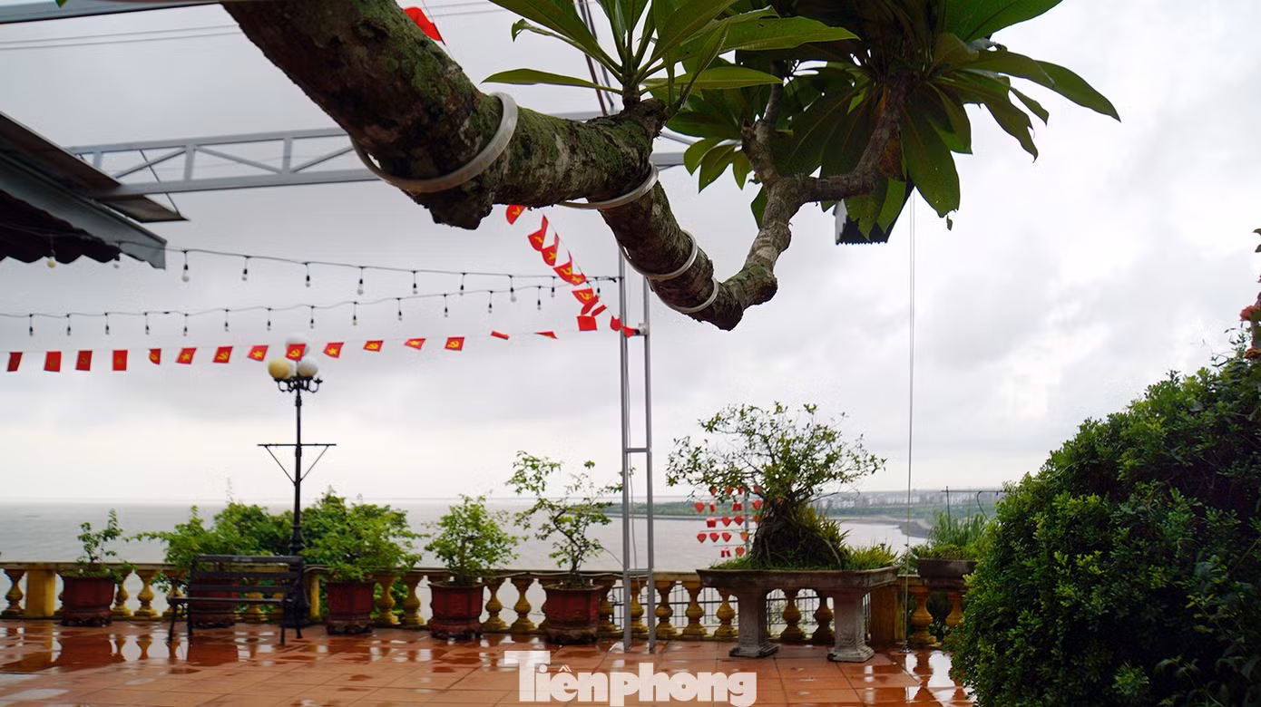 tp-dinh-thu-vua-bao-dai-38.jpg