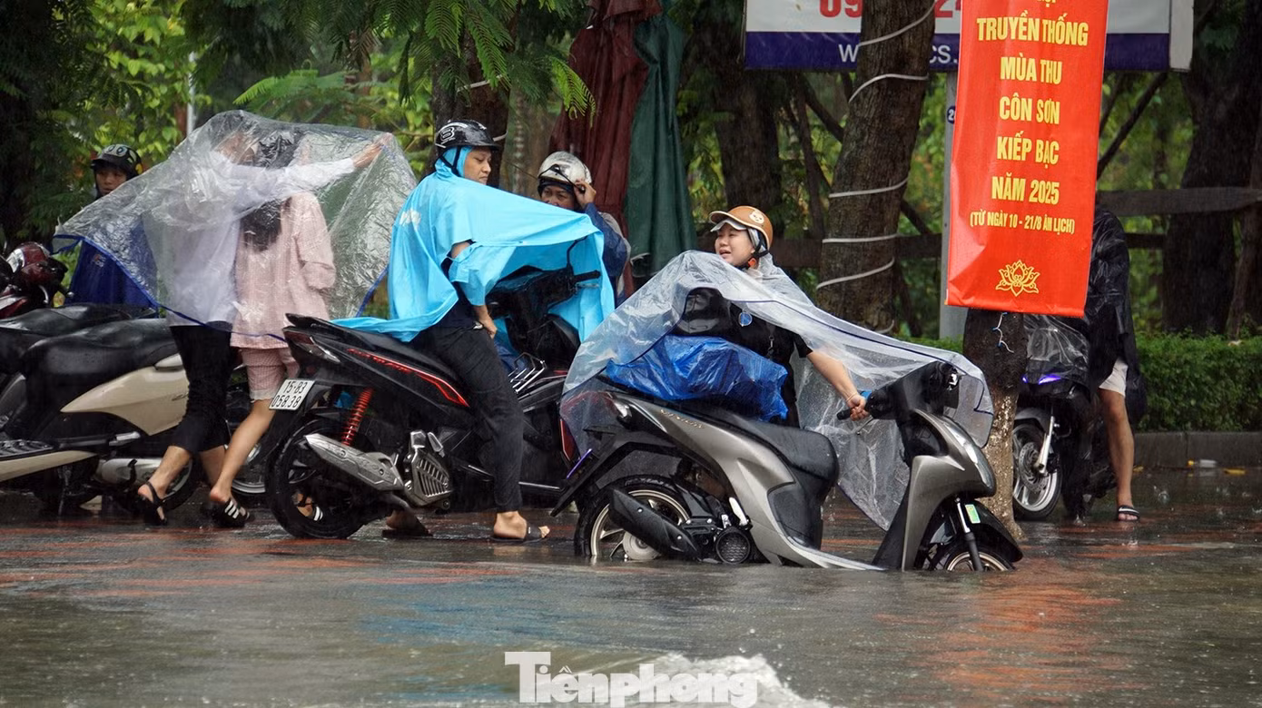 tp-mua-ngap-30.jpg
