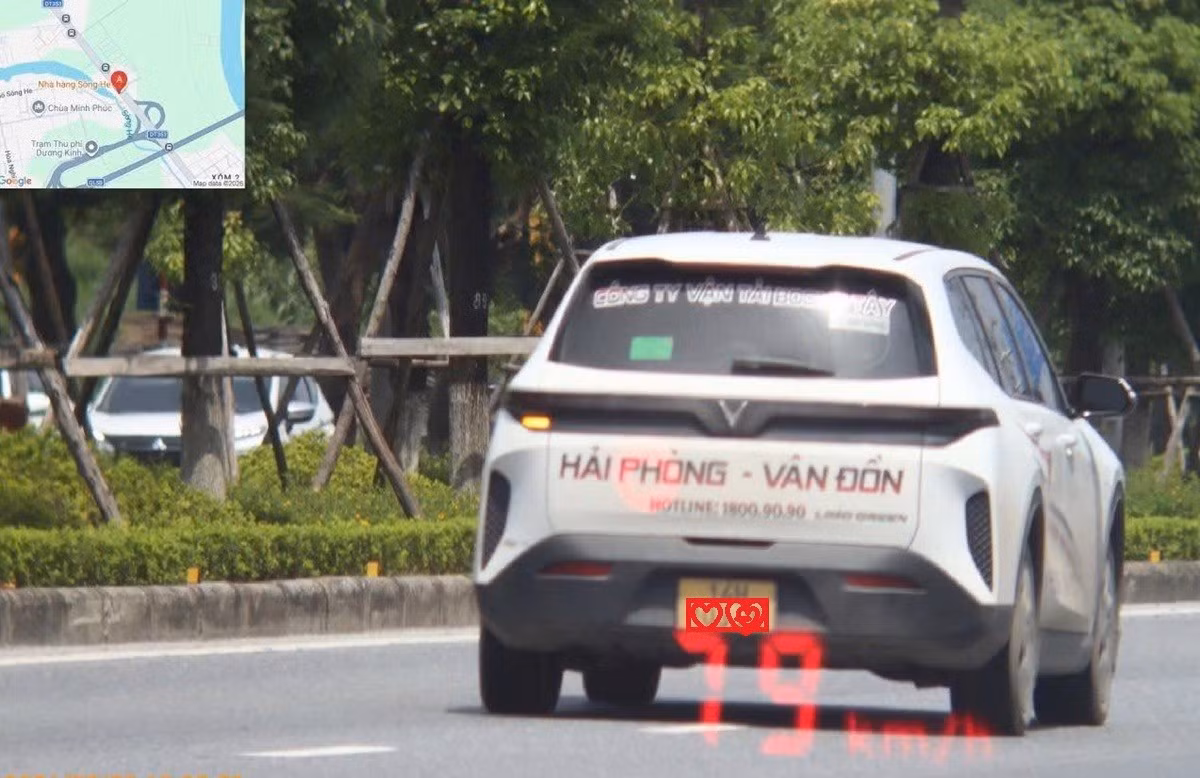 vi-pham-1.jpg