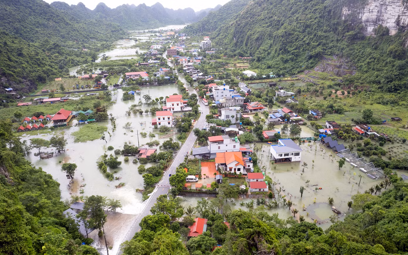 cat-ba-13.png