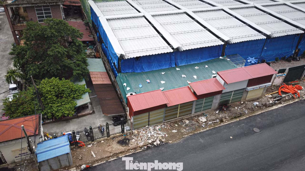 tp-nguyentuan-14.jpg