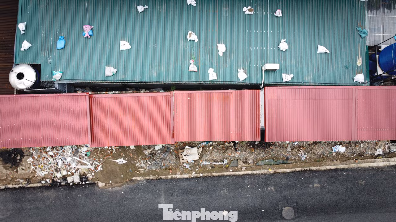 tp-nguyentuan-08.jpg