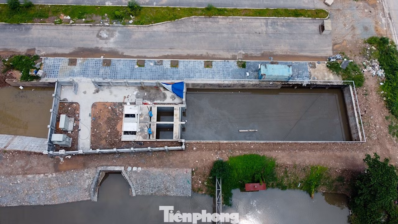 tp-dailo-10.jpg