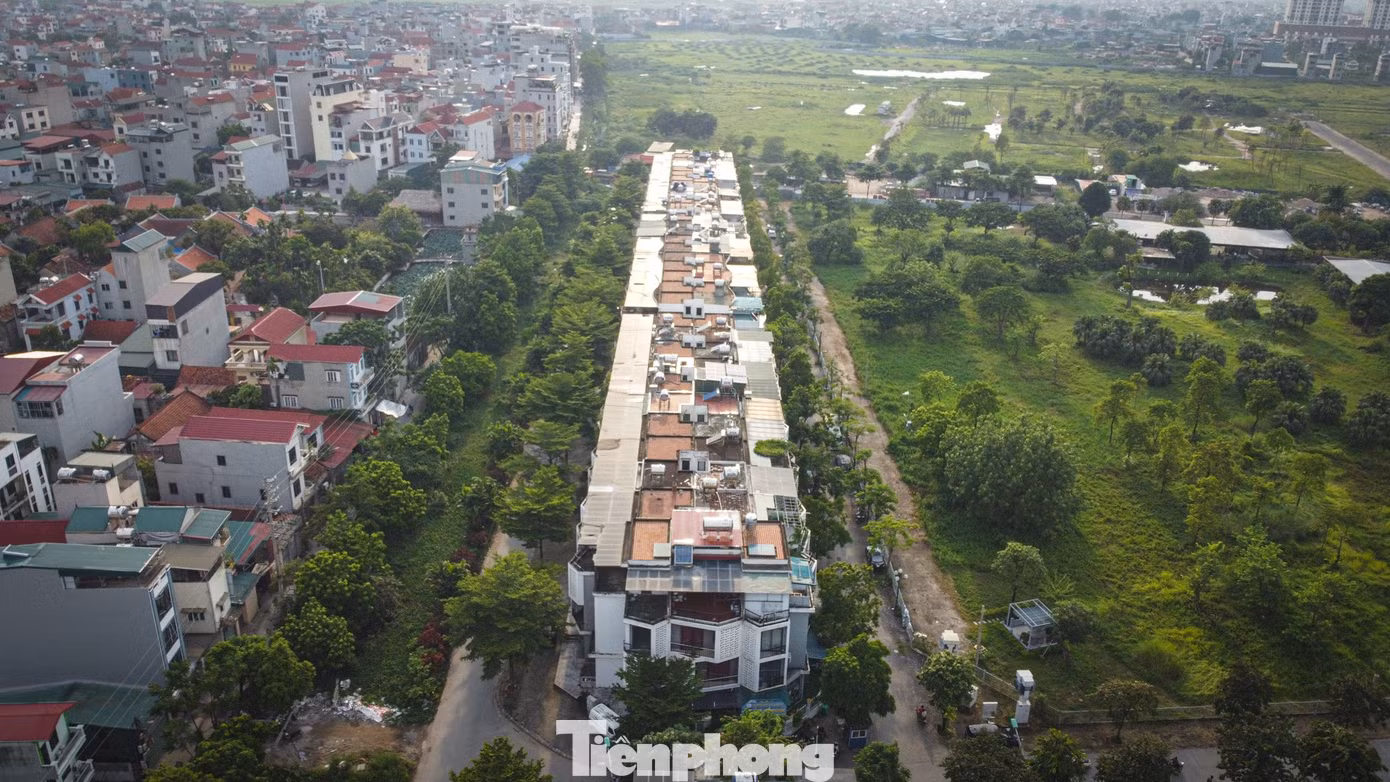 tp-nam32-13.jpg