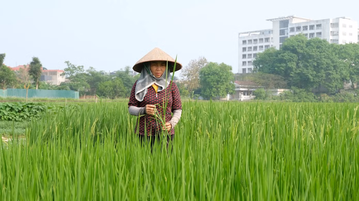 resourcekinhtedothivn-resources2025-1-users-49-dscf6842.jpg