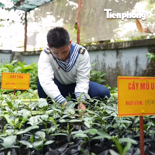 Lính trẻ vun đắp màu xanh giữa Trường Sa
