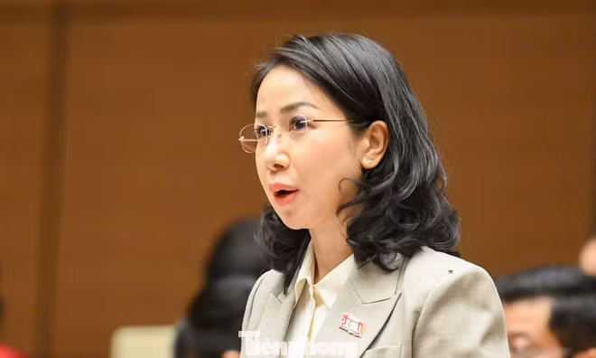 Trải thảm đỏ đón 'đại bàng', tạo điều kiện để hàng triệu 'chim sẻ' lớn mạnh