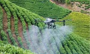 UAV lấp đầy 'khoảng trống' logistics, tối ưu chi phí sản xuất 