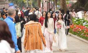 Một mét vuông có hàng chục nàng thơ
