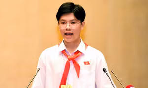 Mở cổng tự ứng cử, tranh cơ hội tham dự phiên họp giả định 'Quốc hội trẻ em'