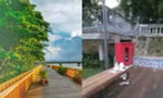 Chưa kịp đẹp bền lâu, cầu đi bộ lát gỗ lim đình đám ở Huế đã trở nên "xấu xí"