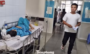  Đà Nẵng: Ca sốt xuất huyết tăng cao, bệnh viện kê thêm giường ở hành lang