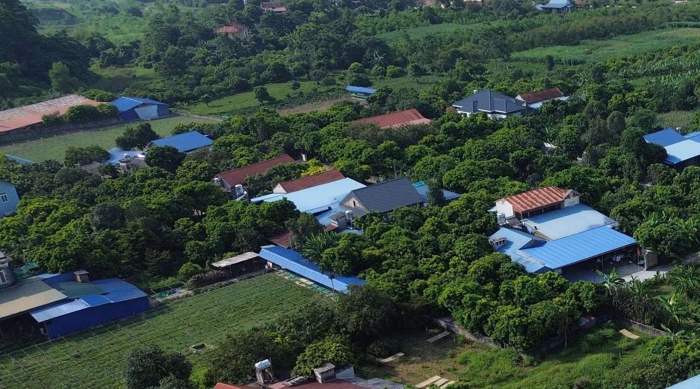 dji-0763.jpg