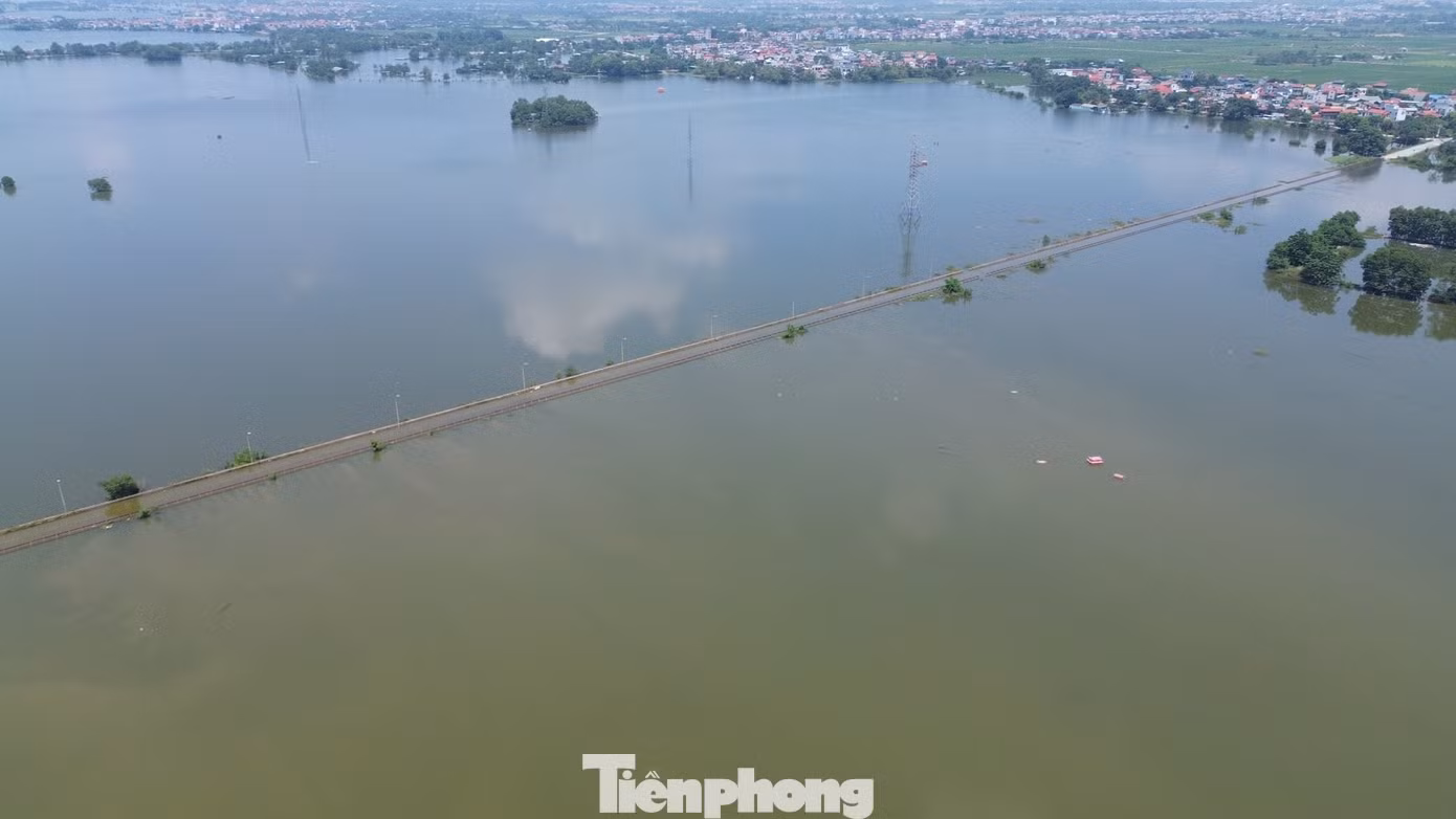 tp-3.jpg