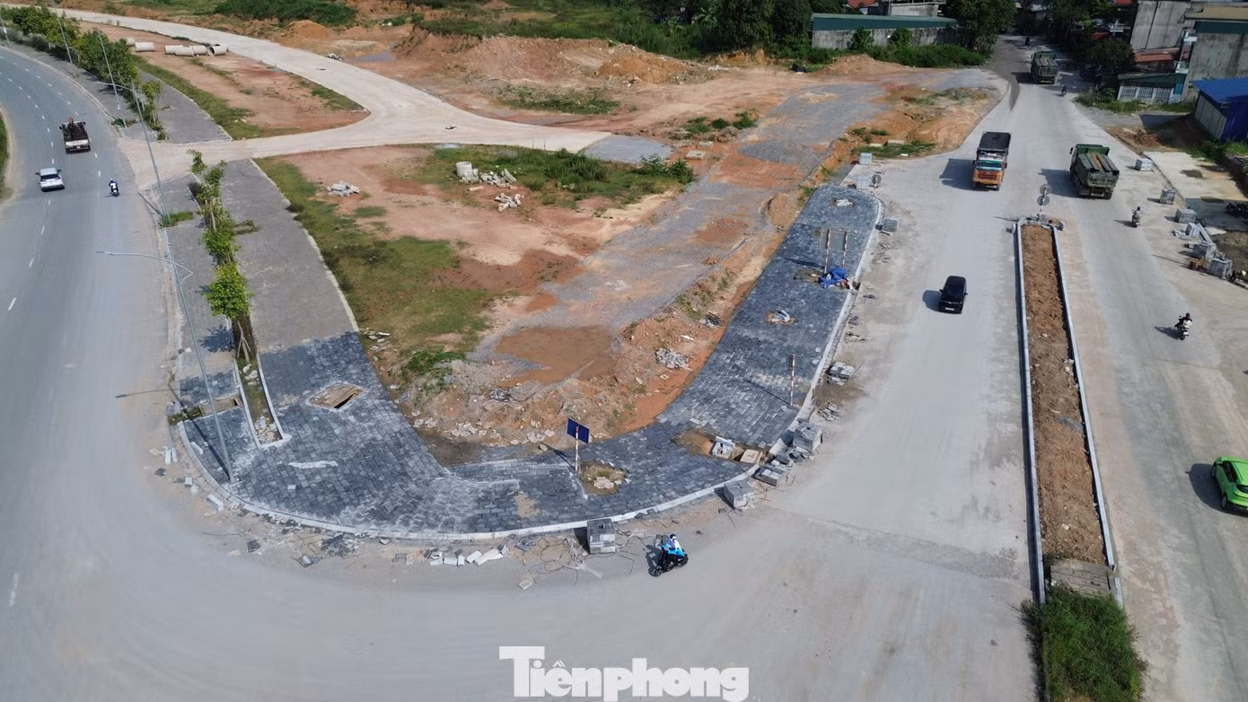 tp-c_tp-15.jpg