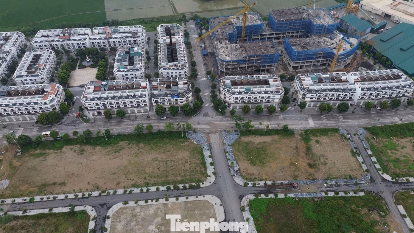 tp-1.jpg