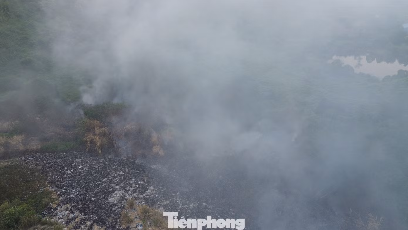 tp-9-9316.jpg