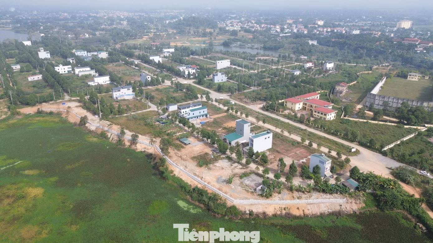 tp-13.jpg