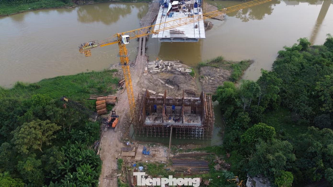 tp-1.jpg