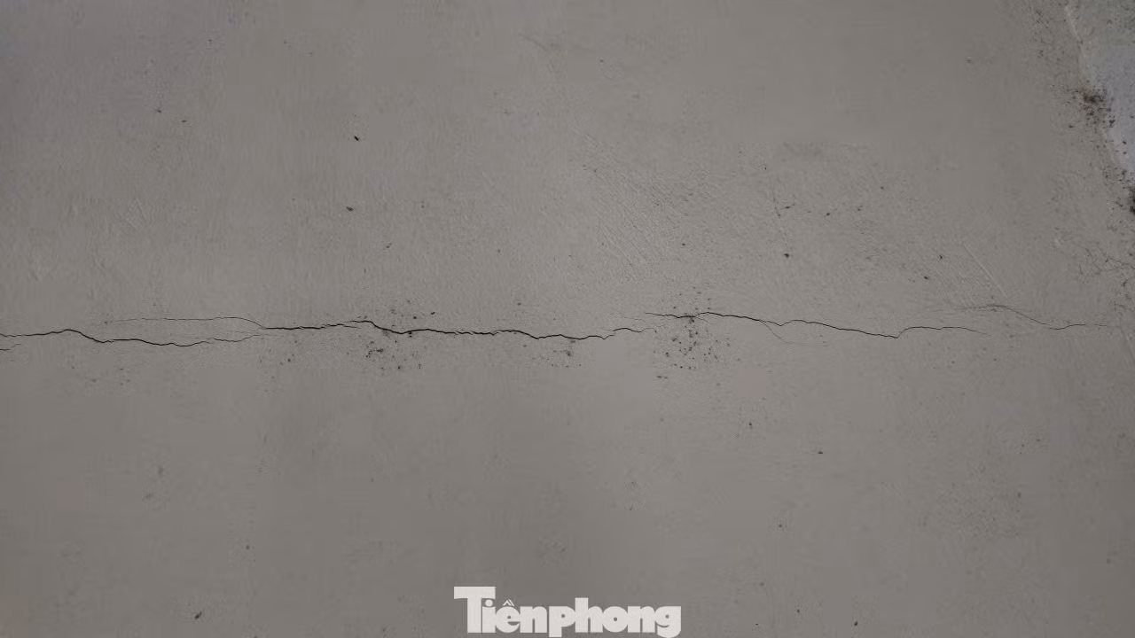 tp-2.jpg