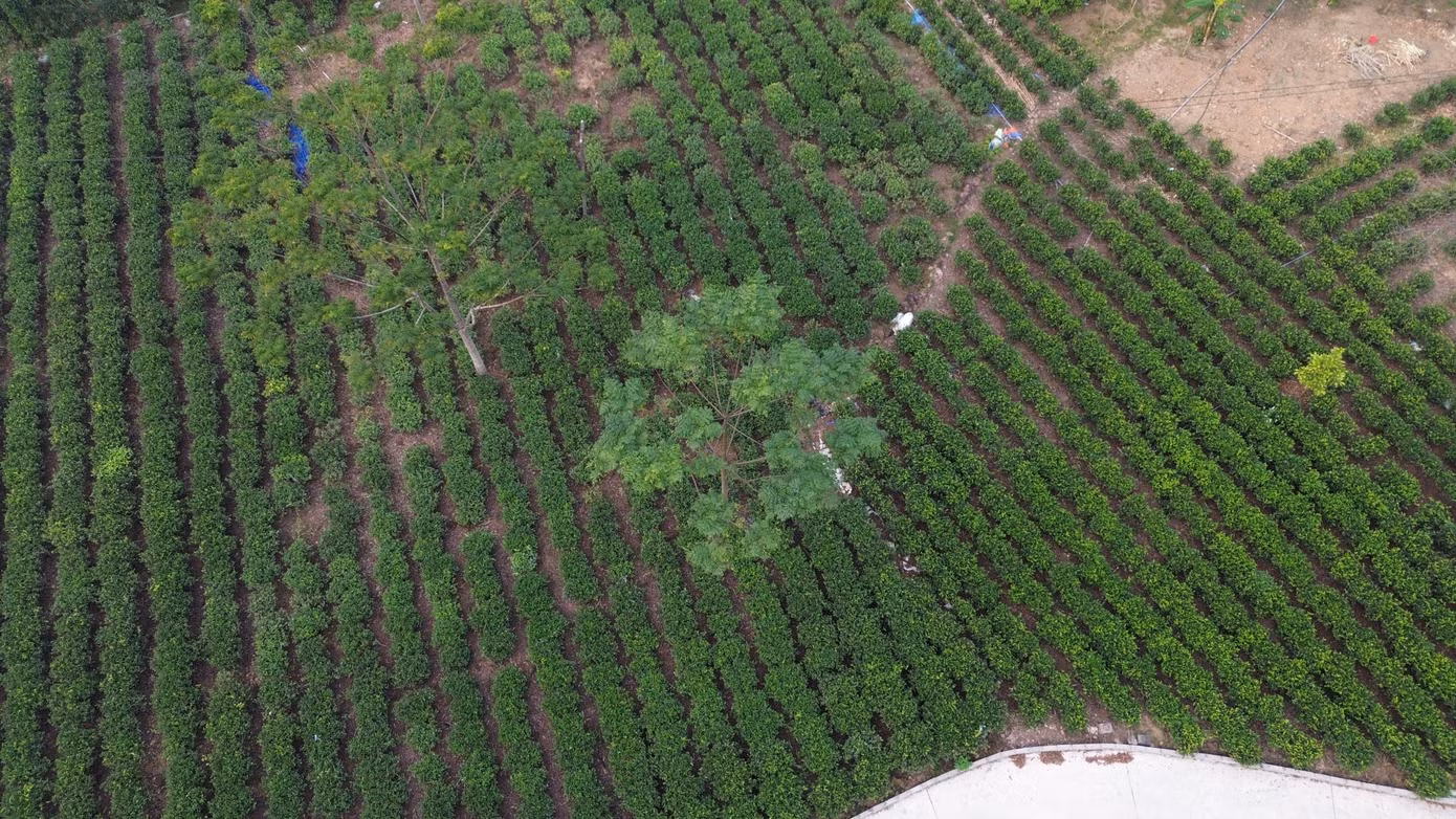 dji-0570.jpg