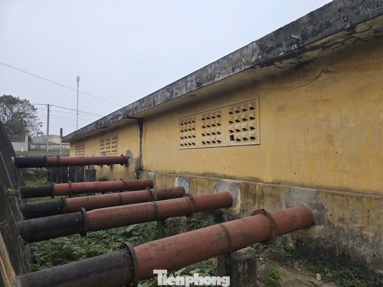 tp-9.jpg