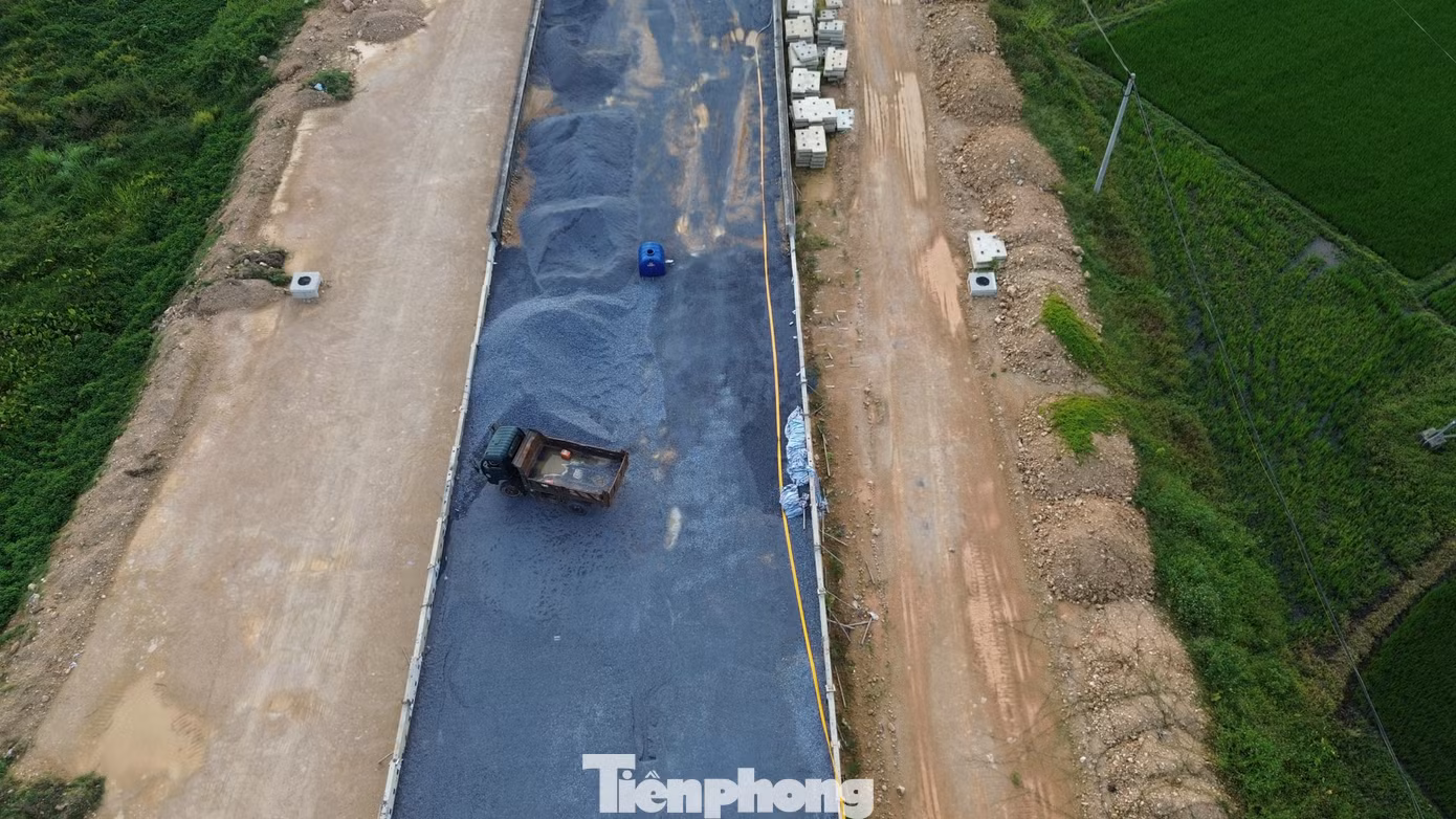 tp-6-6967.jpg