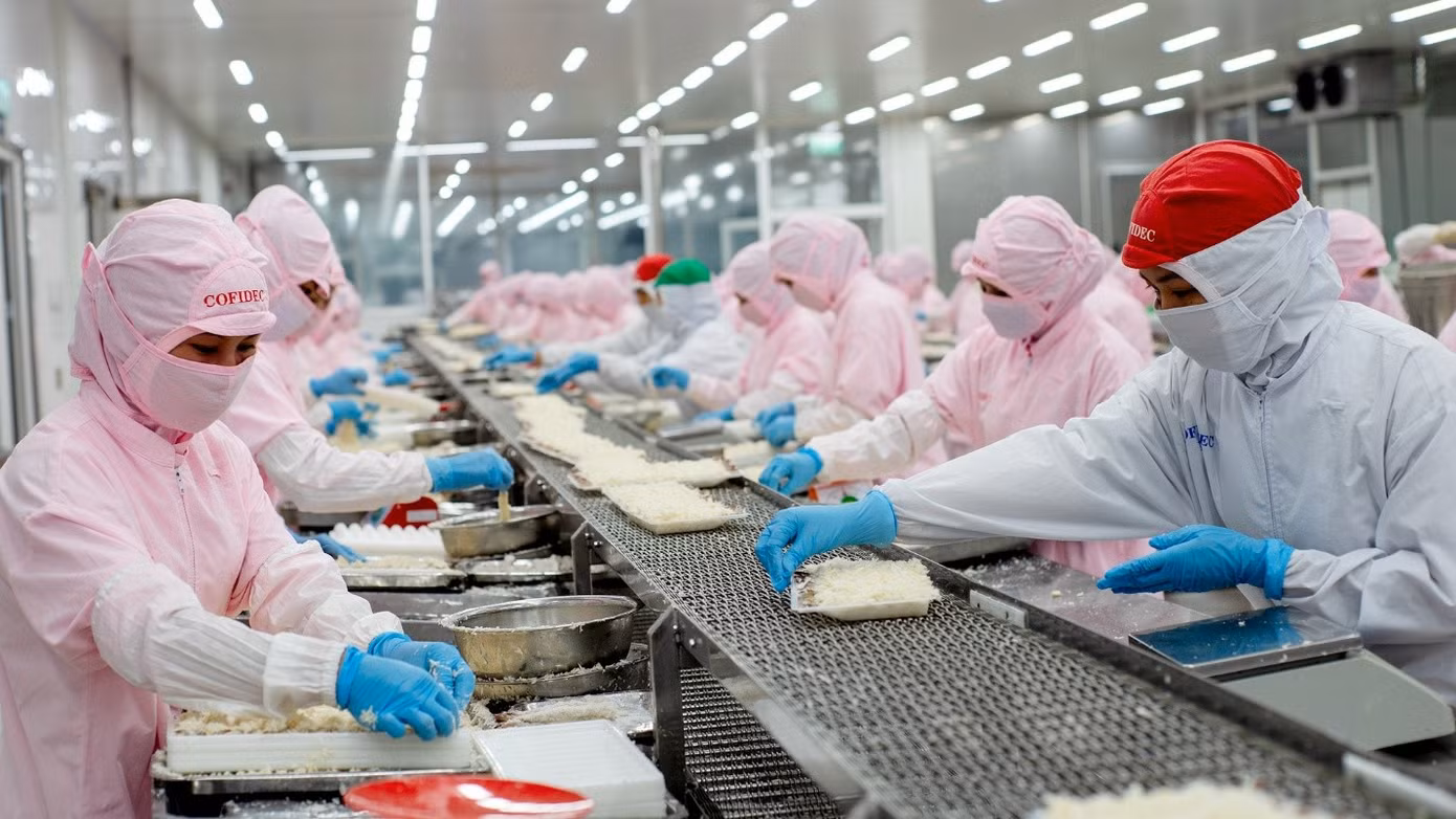 Dây chuyền sản xuất tại Công ty Phát triển kinh tế Duyên Hải (COFIDEC). Ảnh: SATRA