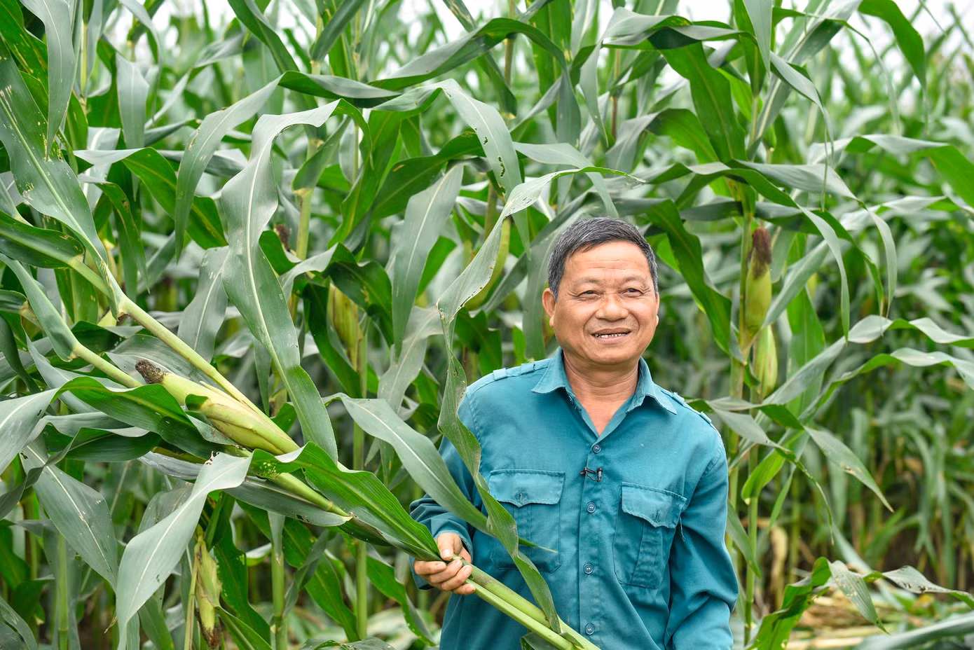anh-5a.jpg