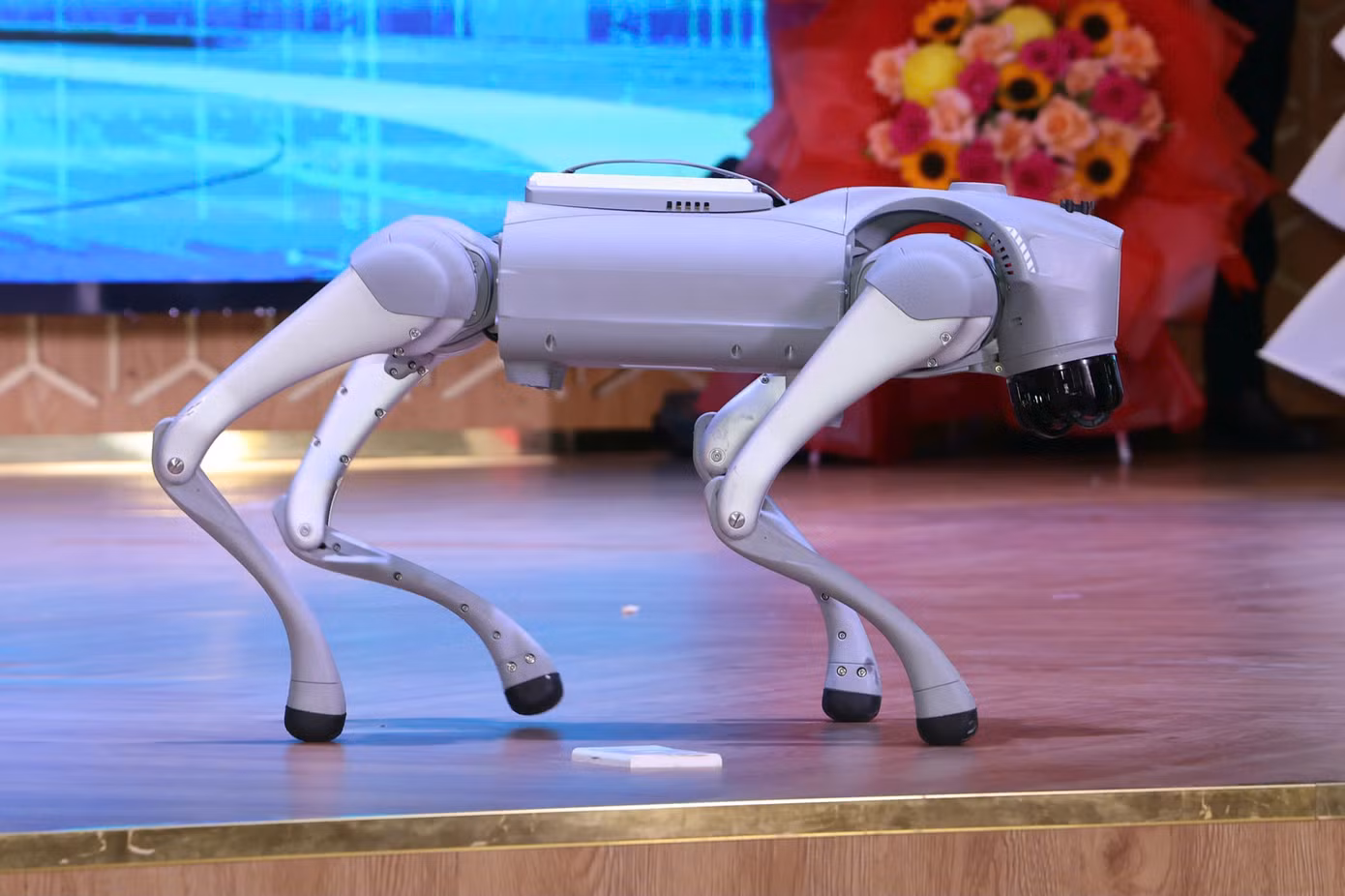 anh-3-robot.jpg