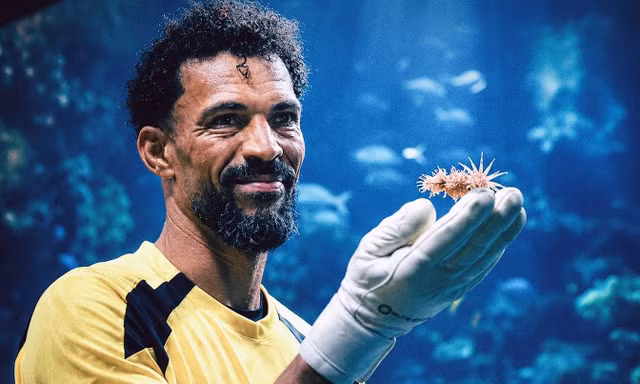 Độc nhất vô nhị tại World Cup 2026: Người hùng tuyển Cape Verde được đặt tên cho loài sinh vật mới