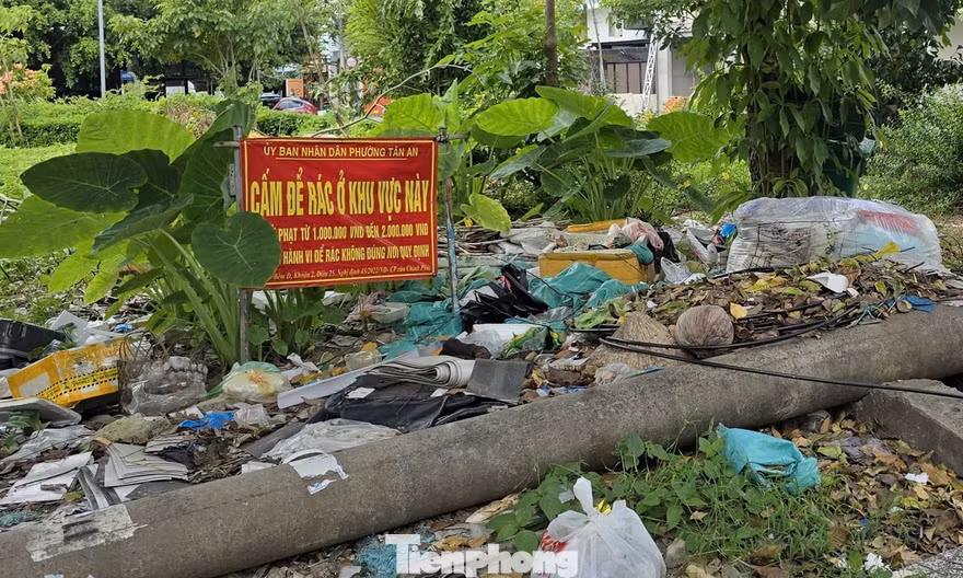 Chủ tịch UBND thành phố Cần Thơ chỉ đạo xử lý dứt điểm các điểm tồn đọng, điểm đổ rác không đúng quy định, tăng cường kiểm tra, giám sát môi trường.