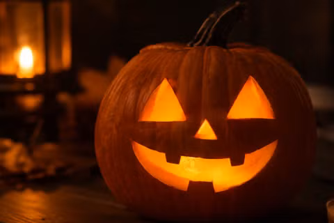 Có thể bạn chưa biết: Những sự thật thú vị về trái bí ngô trong dịp Halloween