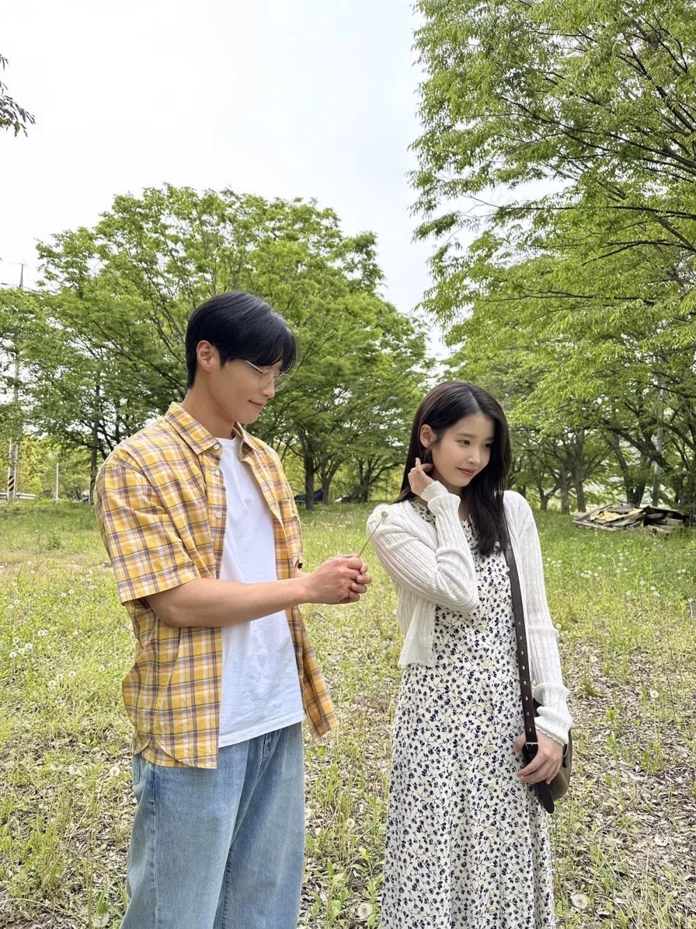 iu-2.jpg