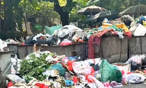 Rác ùn ứ trên đường phố, tỉnh Phú Thọ chỉ đạo khẩn