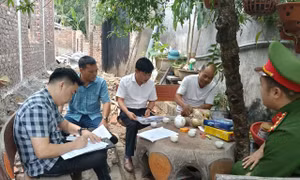 Phú Thọ sắp rà soát tổng thể vi phạm xây dựng, xử lý chủ tịch xã nếu buông lỏng quản lý