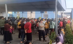 Hàng trăm công nhân công ty may đình công vì quản đốc thường xuyên quát mắng