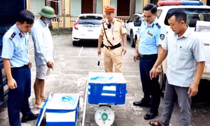 Phú Thọ: Thu nộp ngân sách hơn 362 tỷ từ các vụ buôn lậu, hàng giả, hàng nhái