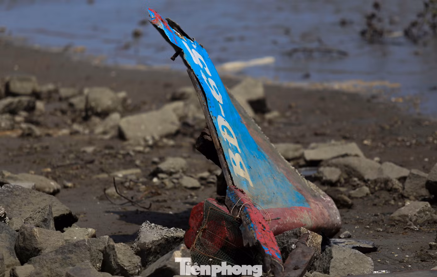 tp-t15.jpg