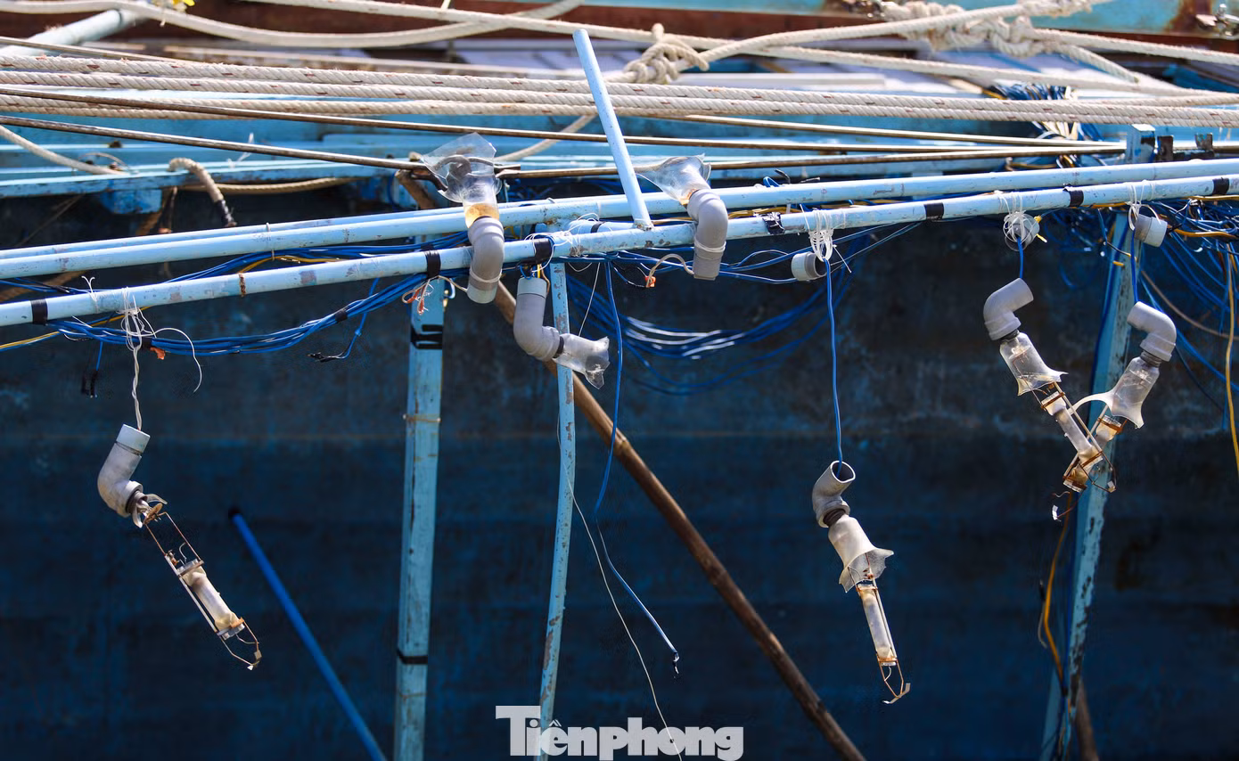 tp-t8.jpg
