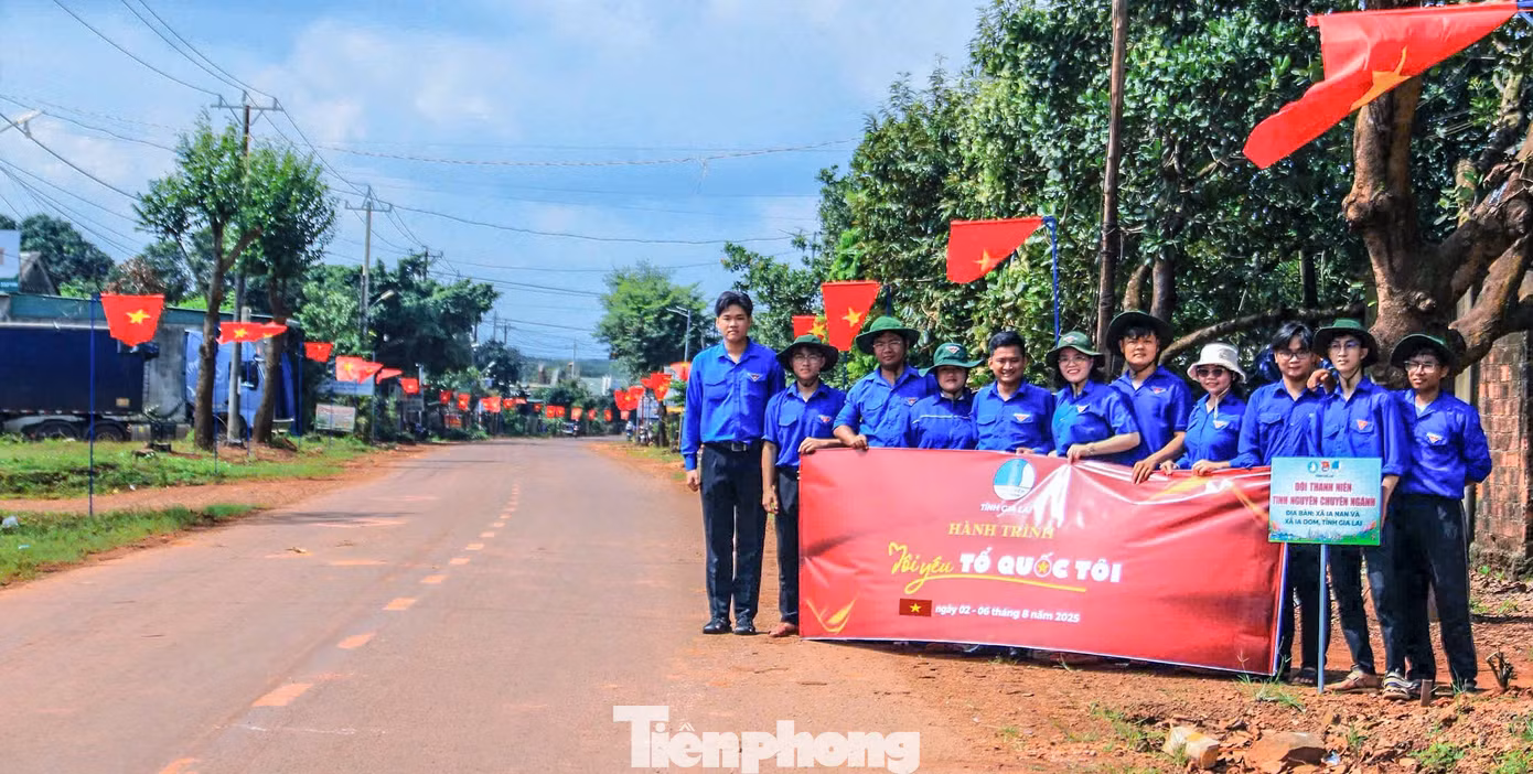 tp-d6.jpg