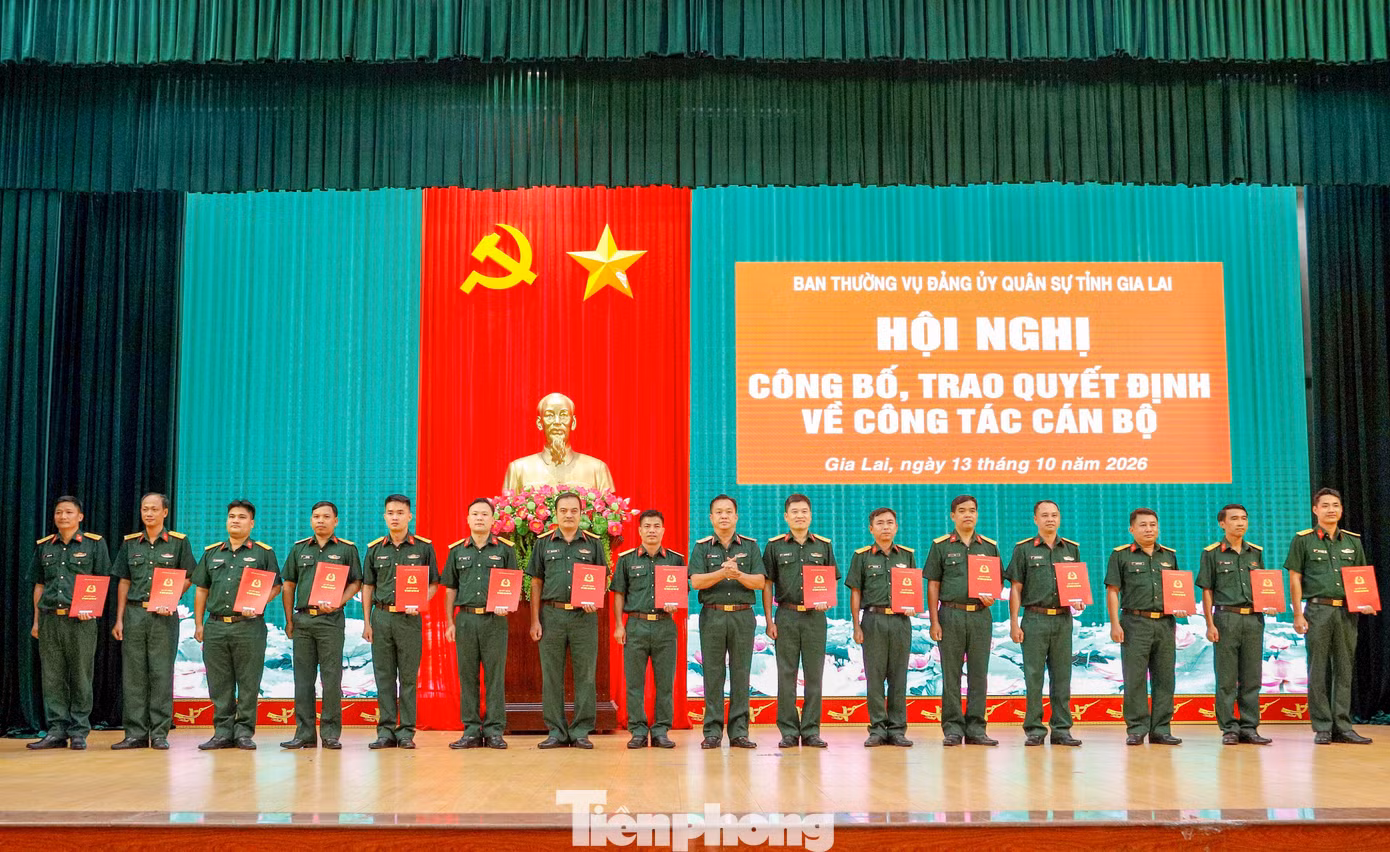 tp-c_a2.jpg