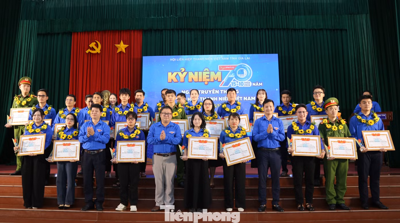 tp-c_img-2981.jpg