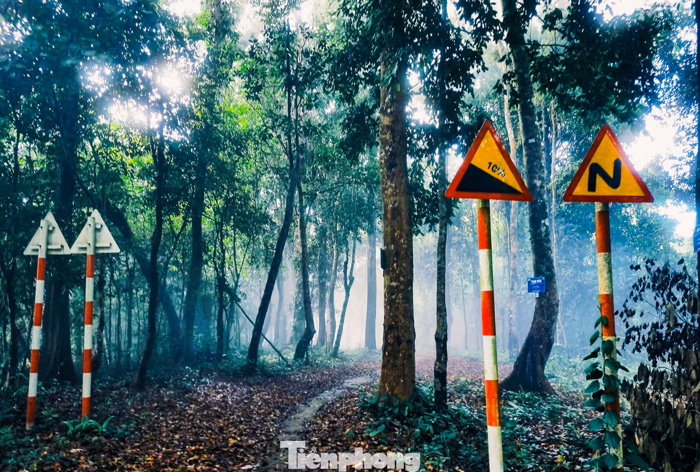tp-r0.jpg