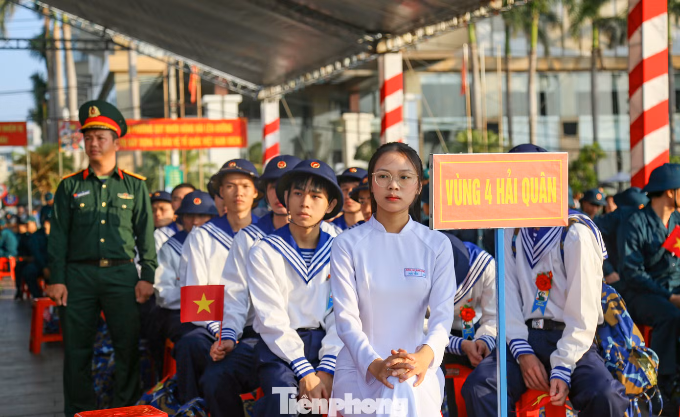 tp-c_img-6182.jpg