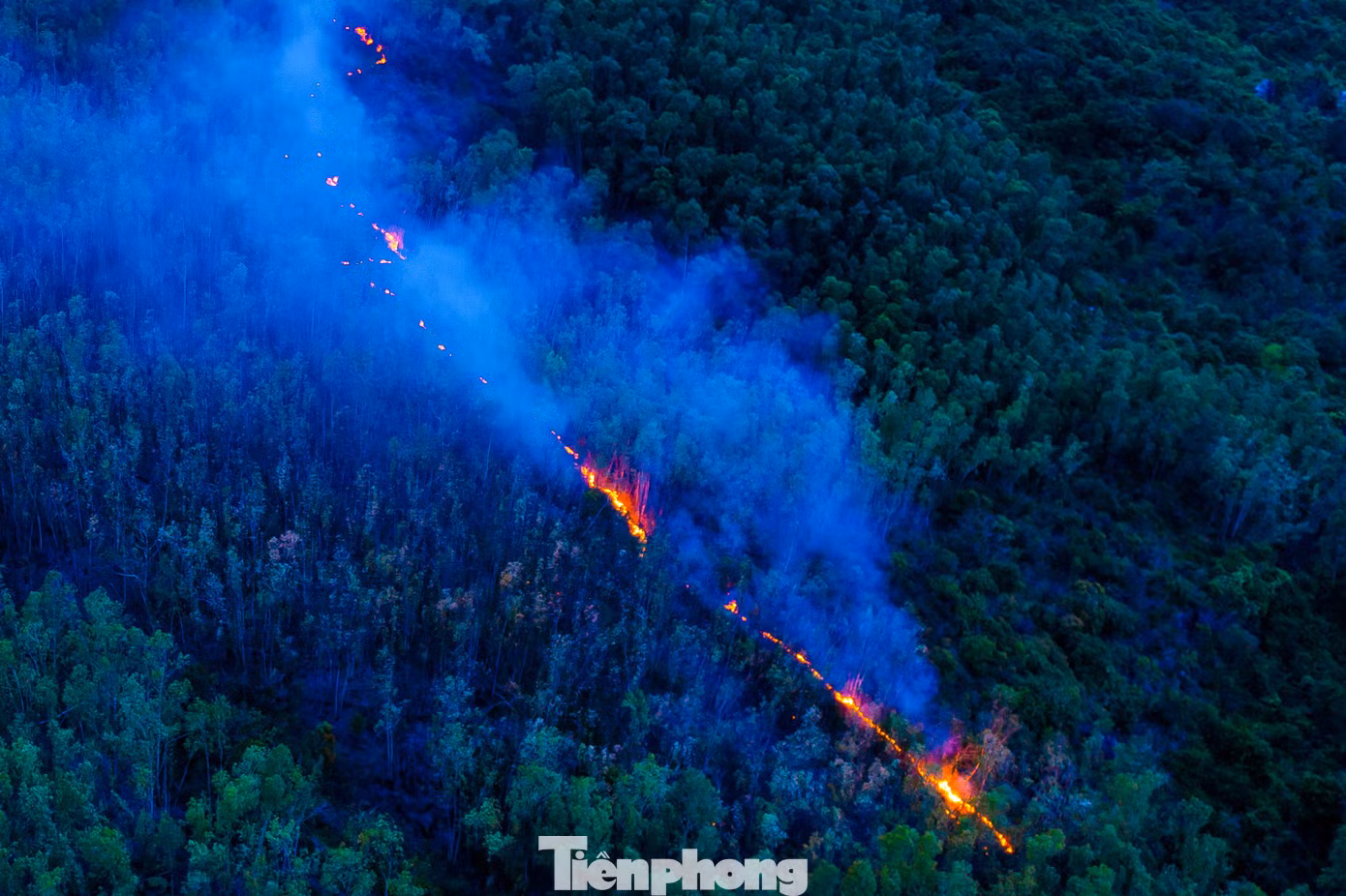 tp-c_dji-0680.jpg